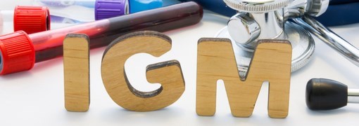 בדיקת רמת Immunoglobulin M - תמונה